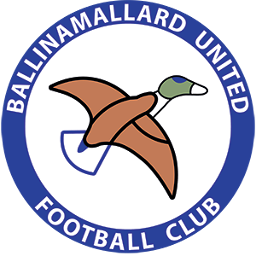 Ballinamallard United B U11 BKYL