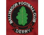 Ballymoor FC under 9 D & D