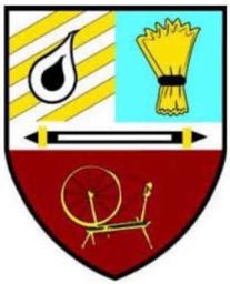 Banbridge Town Ladies U12 MUYL