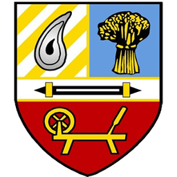 Banbridge Town Swifts 2019 L