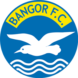 Bangor FC U10 Colts