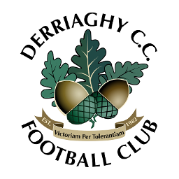 Derriaghy CCFC U15 S