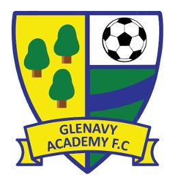 Glenavy Academy Girls 2013/14 L