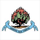 Institute U18 NL