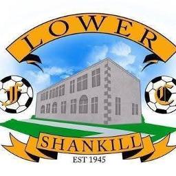 Lower Shankill II