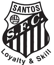 Santos Girls 2010