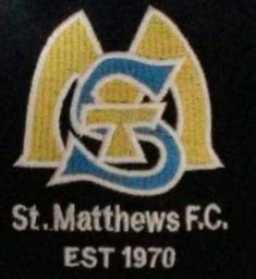 St Matthews Girls 2013-14 L