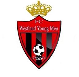Westland YM
